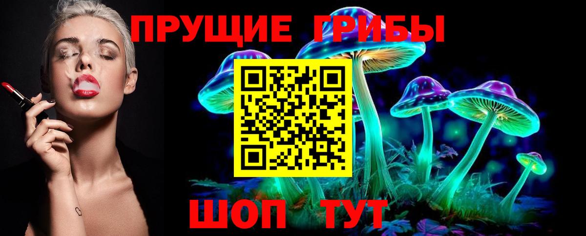 Галлюциногенные грибы мицелий  где купить   Клинцы  Вход с VPN  Псилоцибиновые грибы Psilocybine cubensis 